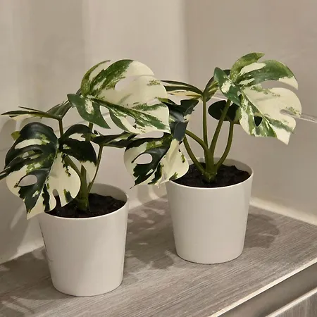 Seaside Dream White Line Lägenhet Kiel