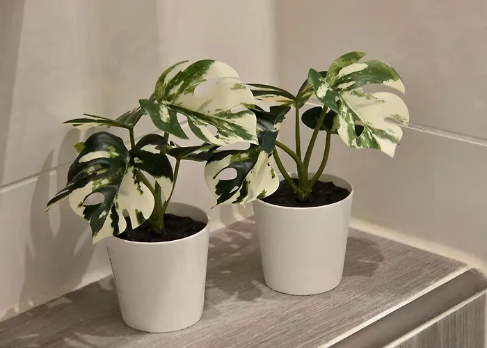 Seaside Dream White Line Lägenhet Kiel